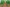HD_bio ferme_1